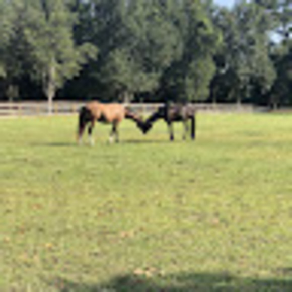 Meet your Posher, Kellie - Picture 1 of 1